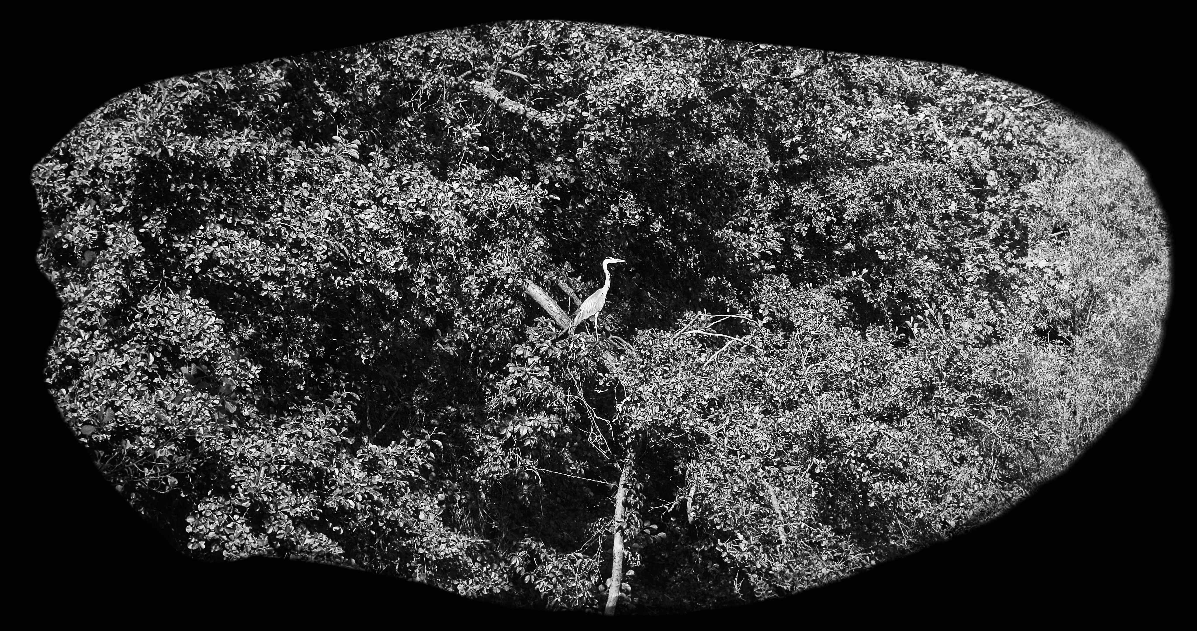 Photogramme 3