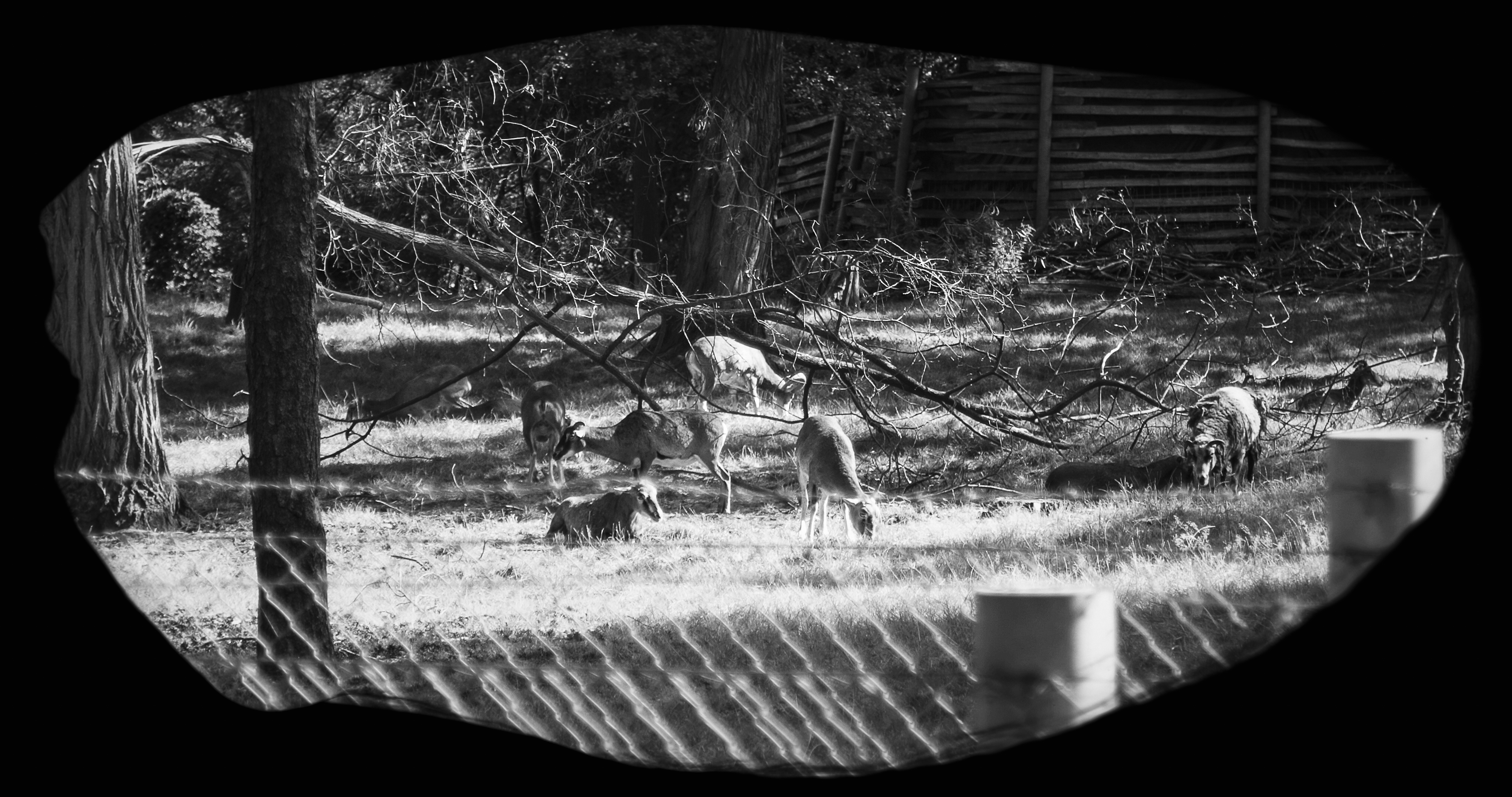Photogramme 4